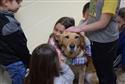 032524_tv_therapy_dog-03-2