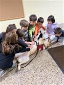 032524_tv_therapy_dog-14-13